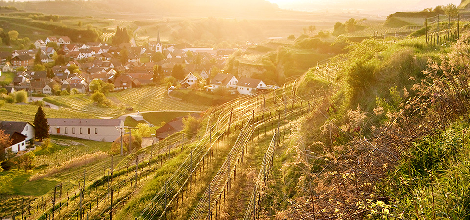 Kleinterrassen