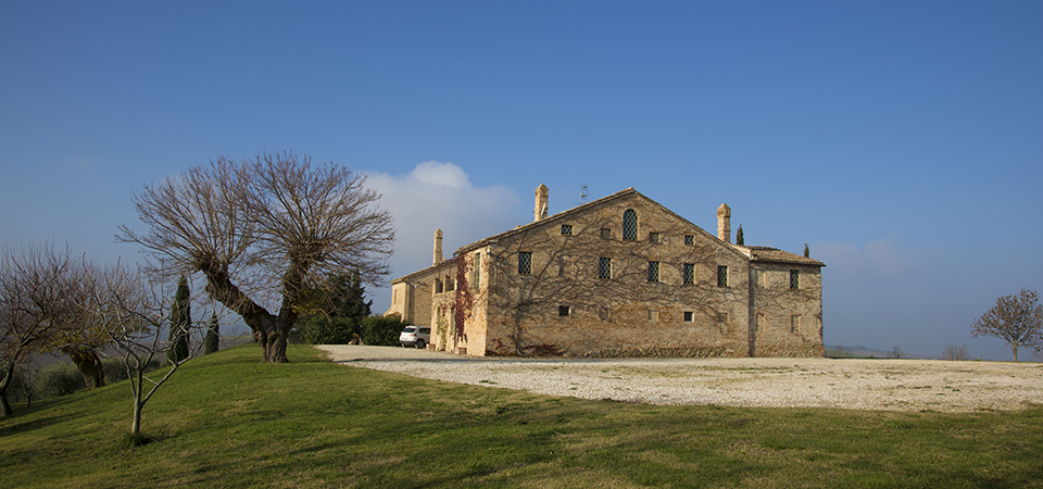 Tenuta Tavignano_